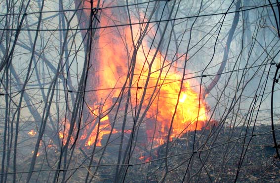 feu d'isola