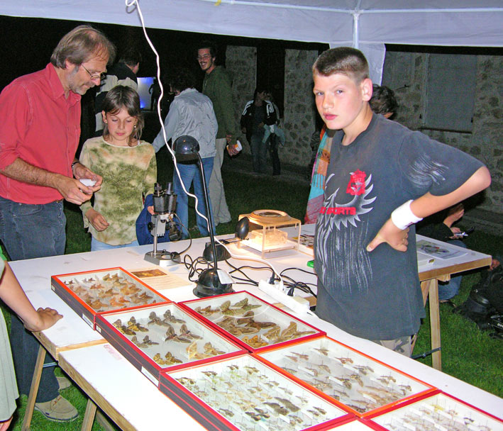 nuit des musées