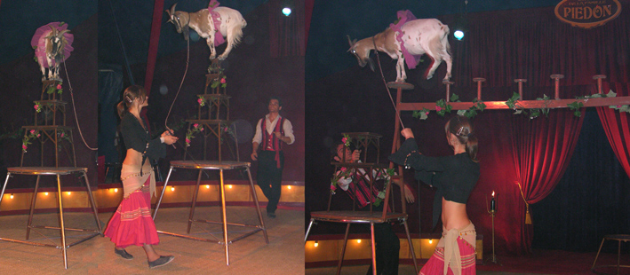 Cirque Piedon