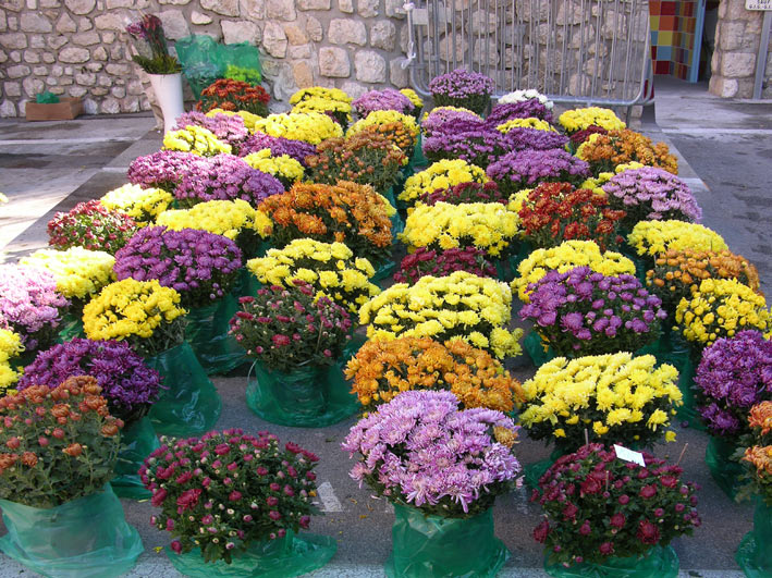 fleurs