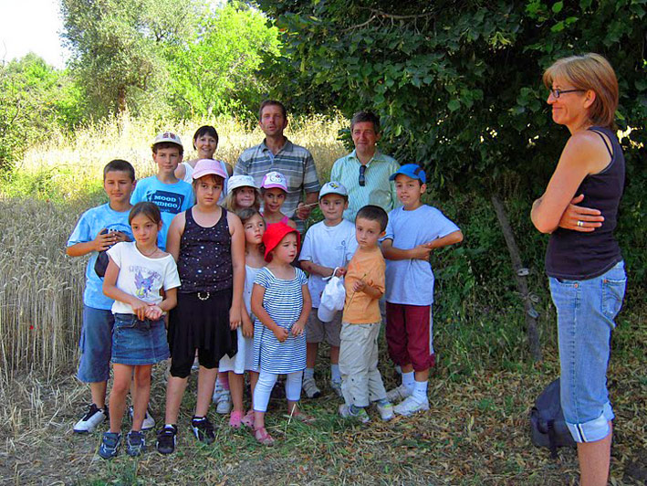 Fête du Blé à Camp-Soubran