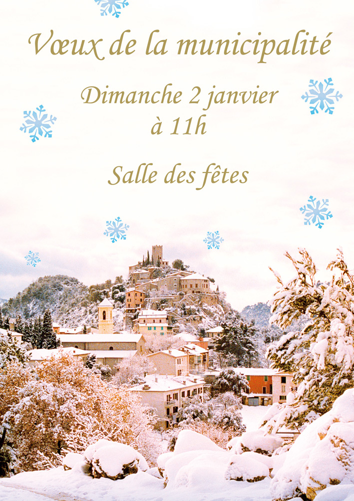 Voeux 2011