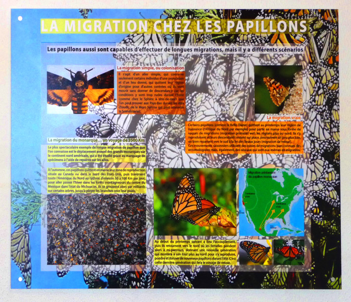 Musée des Papillons
