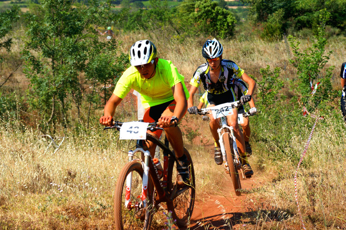 VTT René-Cassin