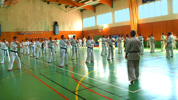 Karaté passage de grade