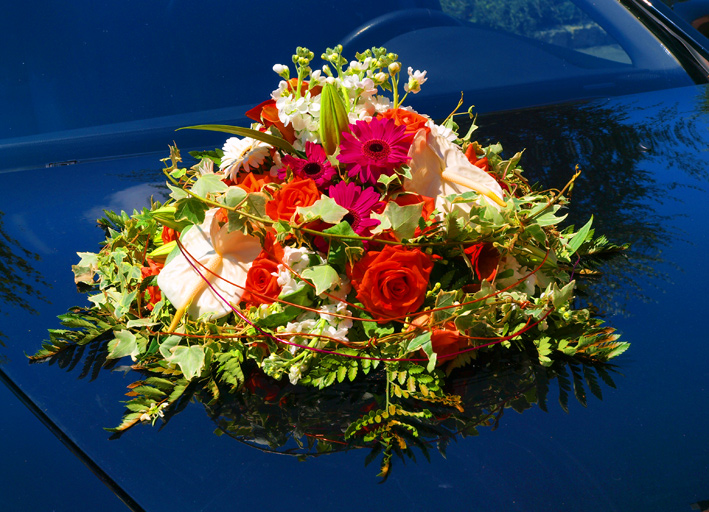 Mariage ALbertelli-Frisetti