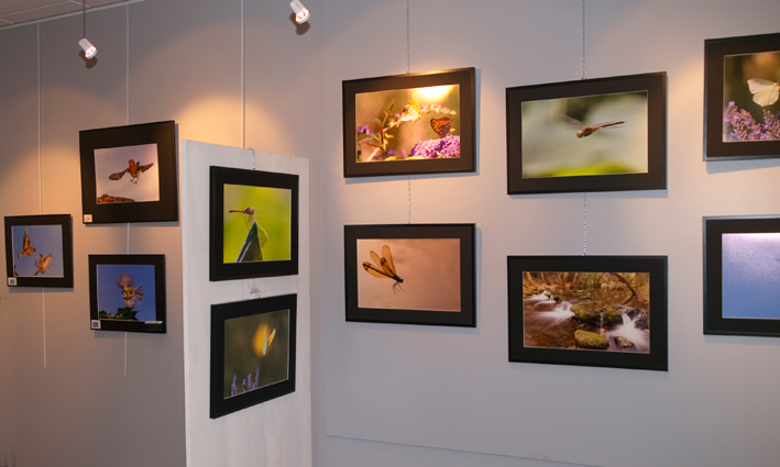 Rencontres photo