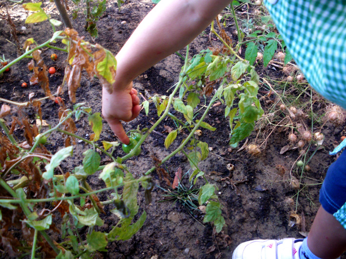 Maternelle jardinière