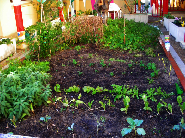 Maternelle jardinière