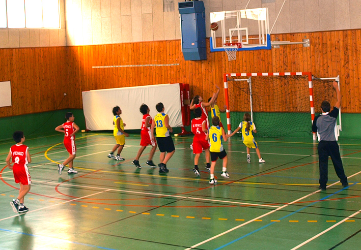 Reprise du basket