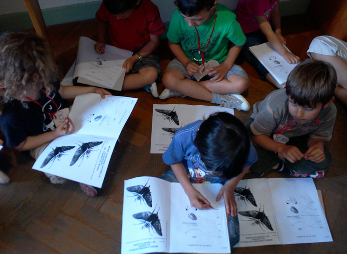 Enfants au château