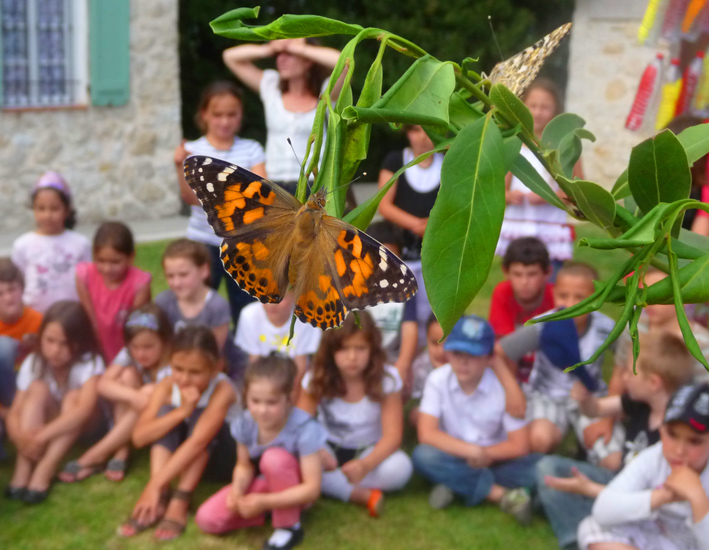 Envol de papillons au château
