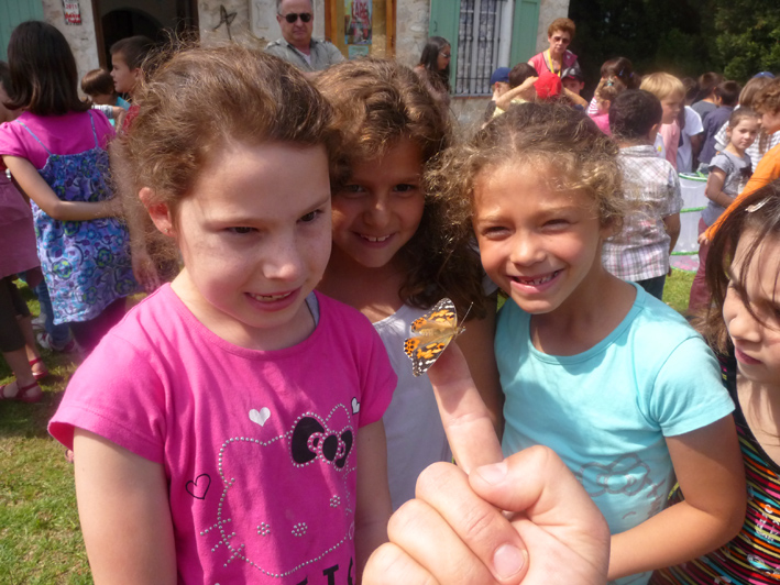 Envol de papillons au château