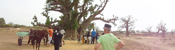 Ecole des Cajoutiers, Sénégal