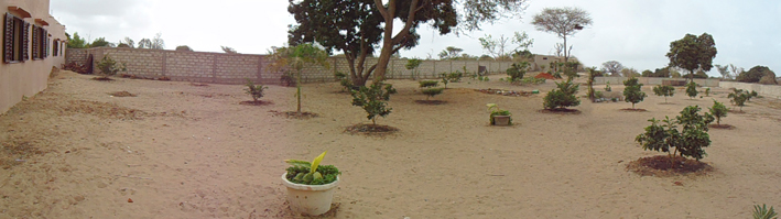 Ecole des Cajoutiers, Sénégal