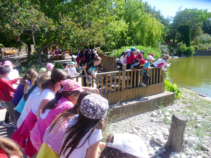 Primaire au parc Phoenix