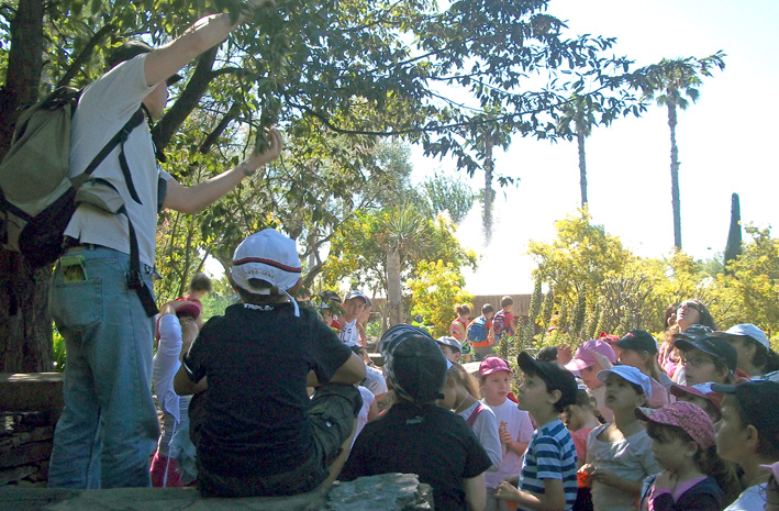 Primaire au parc Phoenix
