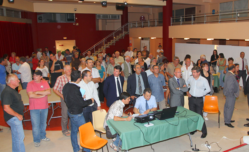 élections cantonales