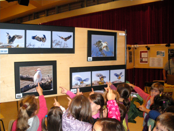 Rencontres de la Maternelle