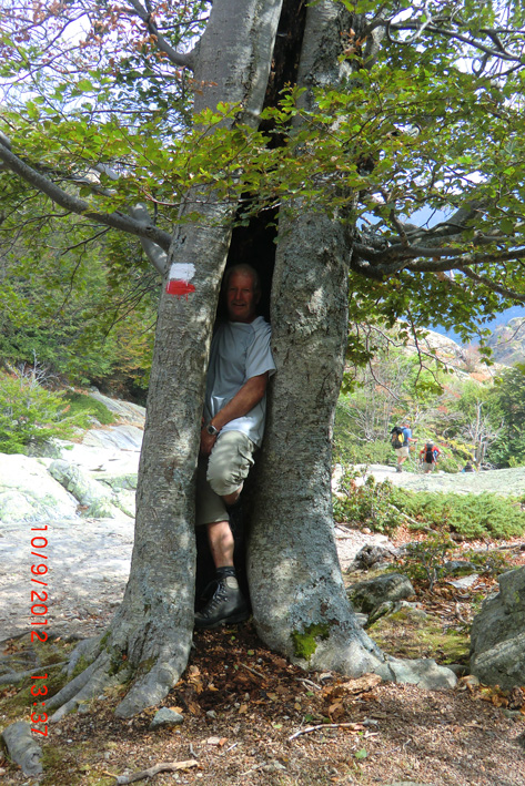 AOTL en Corse