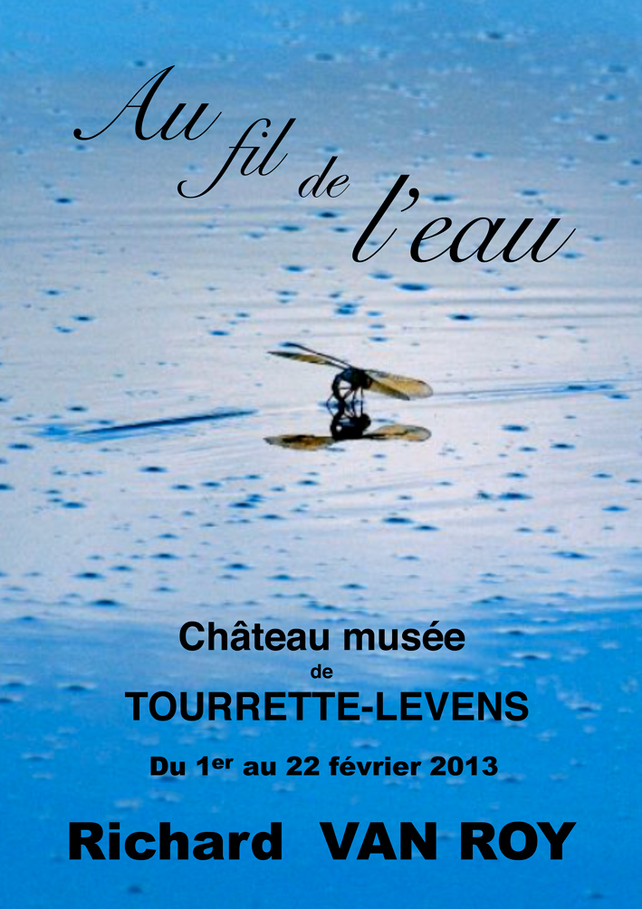 Van-Roy-au-fil-de-l-eau_21-01-13