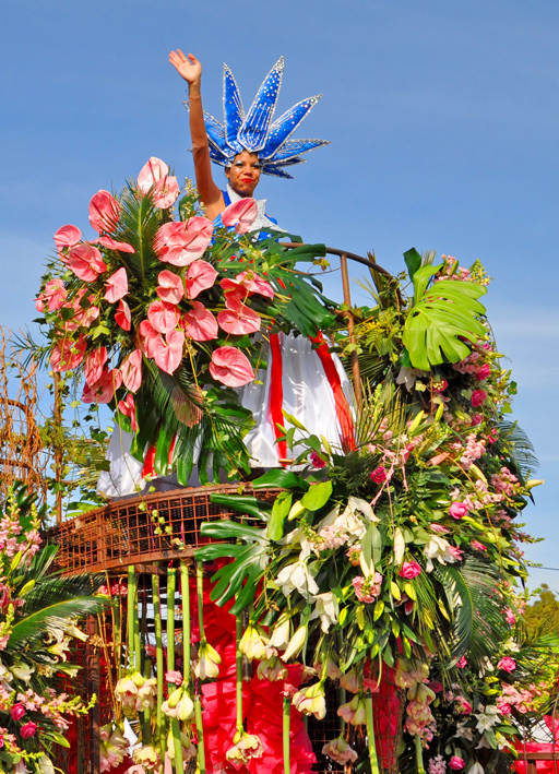 Bataille-de-fleurs_27-02-13