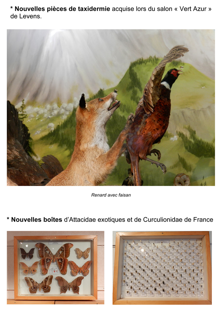 Nouveautés 2012