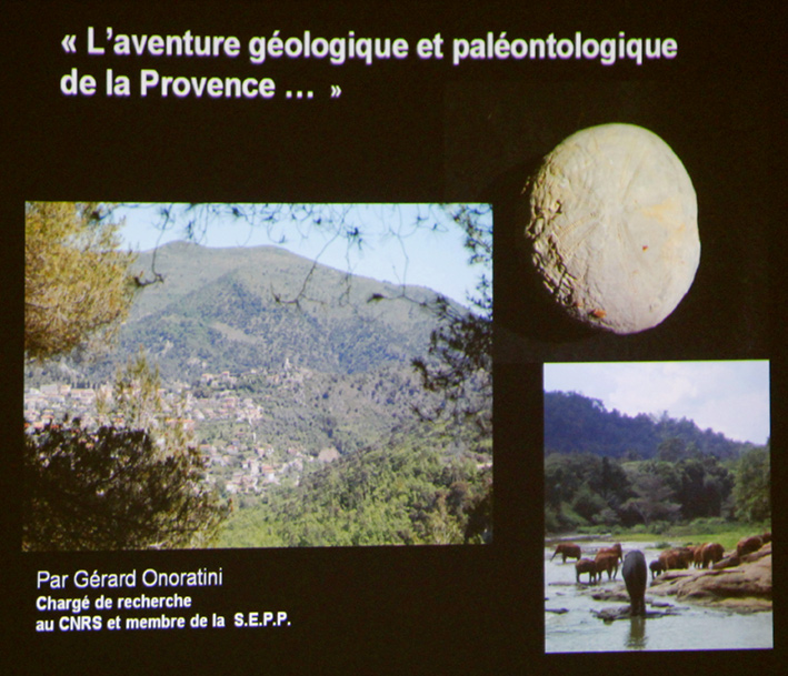Conference Onoratini