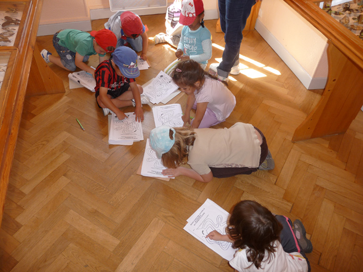 Musée du château