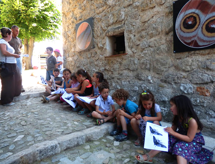 Maternelle-sortie-papillons_22-06-13