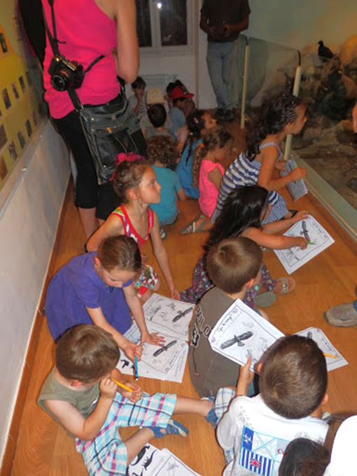 Maternelle-sortie-papillons_22-06-13