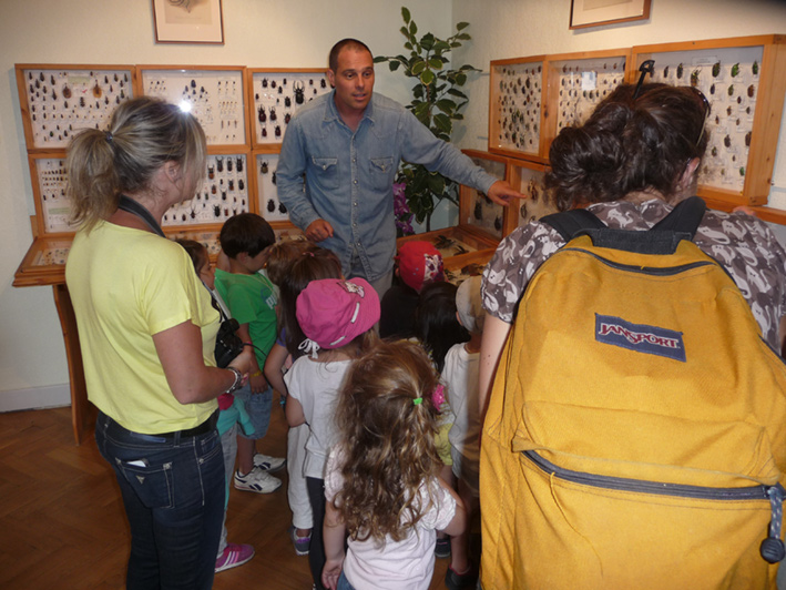 Castagniers-au-chateau_03-07-13