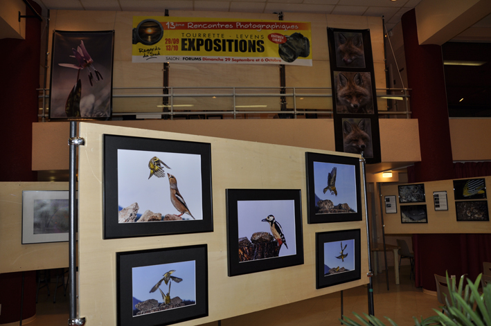 Rencontres-photo_02-10-13