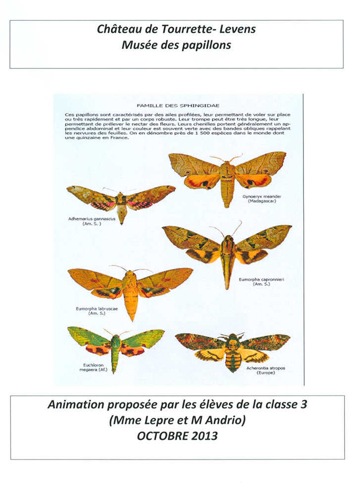 Maternelle_Animation-musee_16-10-13