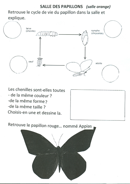Maternelle_Animation-musee_16-10-13