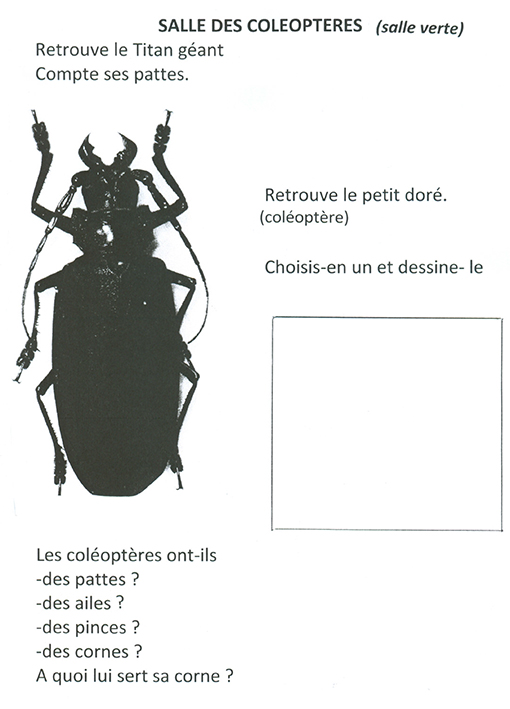 Maternelle_Animation-musee_16-10-13