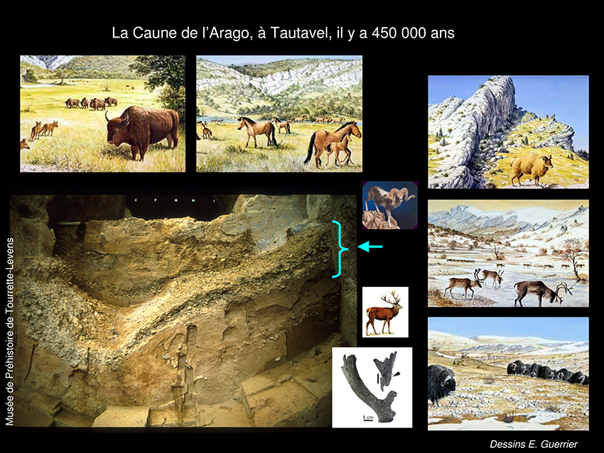 Musee-prehistoire-au-CUM_18-01-14