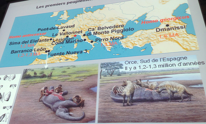 Musee-prehistoire-au-CUM_18-01-14