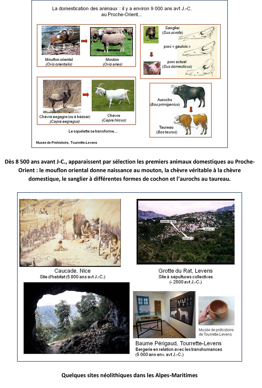 Conférences CUM