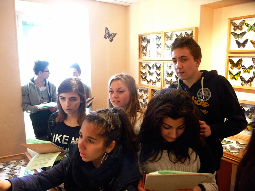 College de Saint-Sauveur