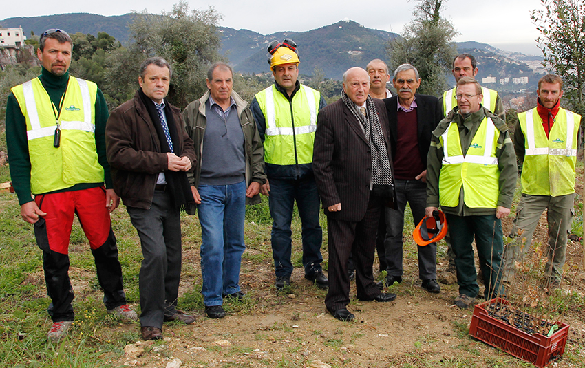 Carrieres TL