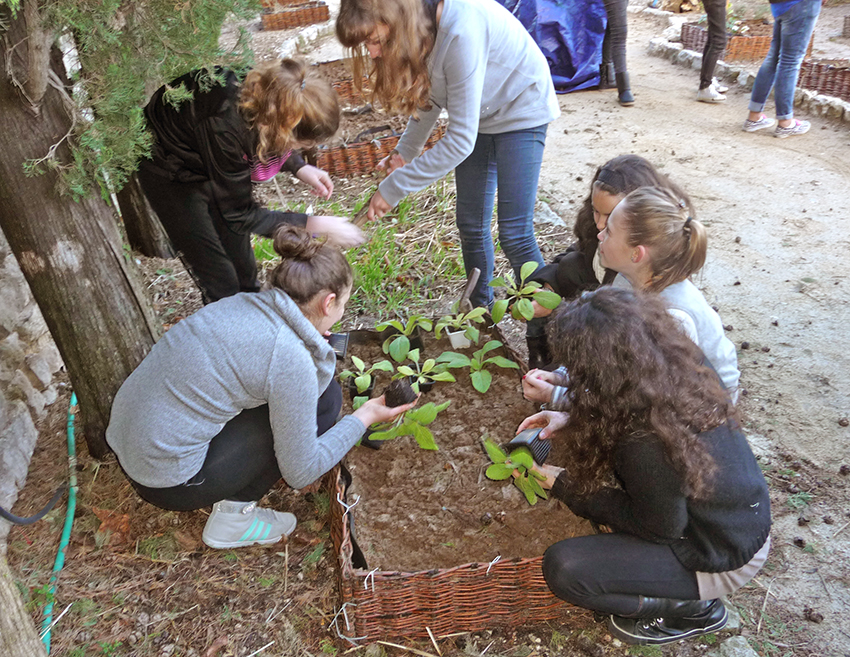 Jardin médiéval