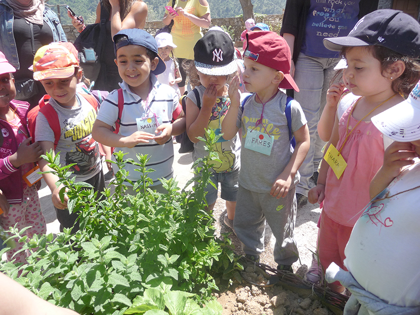 Chateau-Visites-scolaires-juin-2014