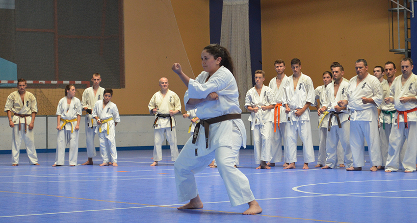 Karaté grades 2014