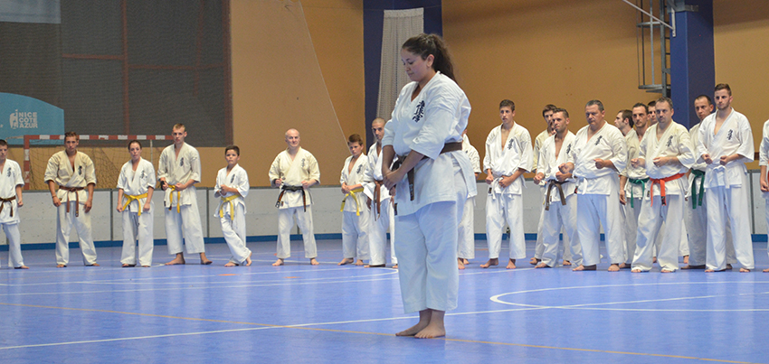 Karaté grades 2014