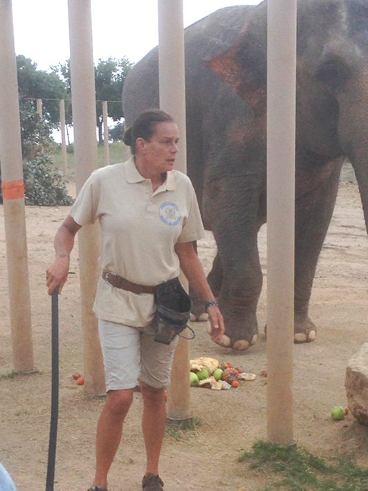 Dr-Frere-et-elephants_18-7-14