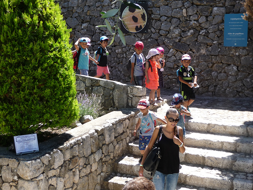 Visite-chateau-musee_4-8-14