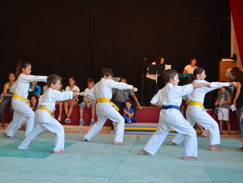 Karate-Assoc_8-9-14