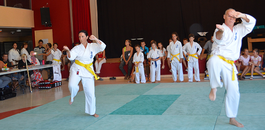 Karate-Assoc_8-9-14