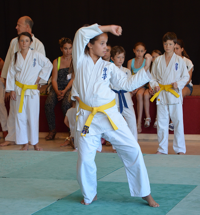 Karate-Assoc_8-9-14